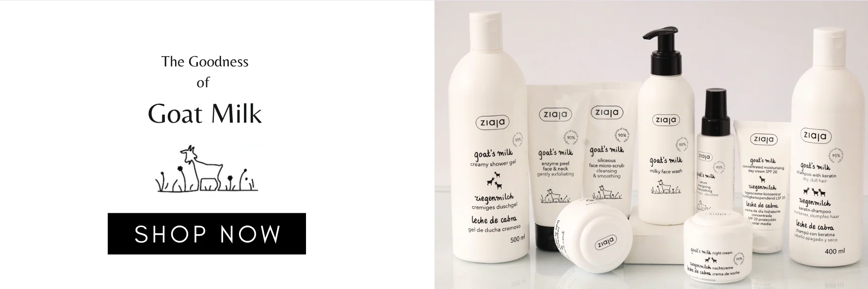 Welcome to Our Store